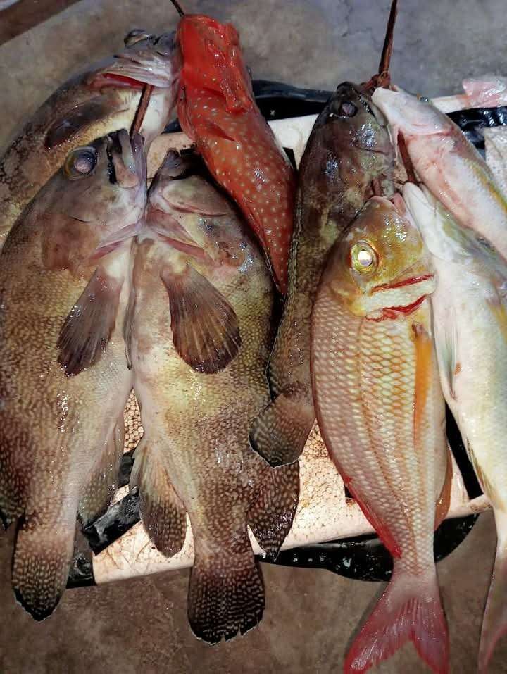 Harga Ikan Naik Merangkak Pasca Lebaran